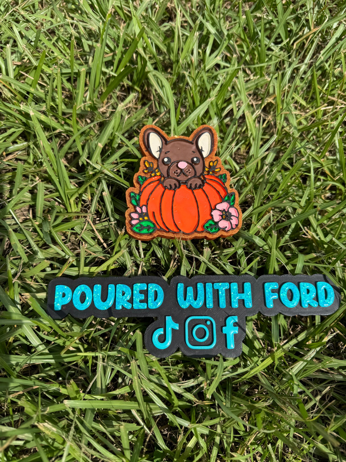 Frenchie pumpkin