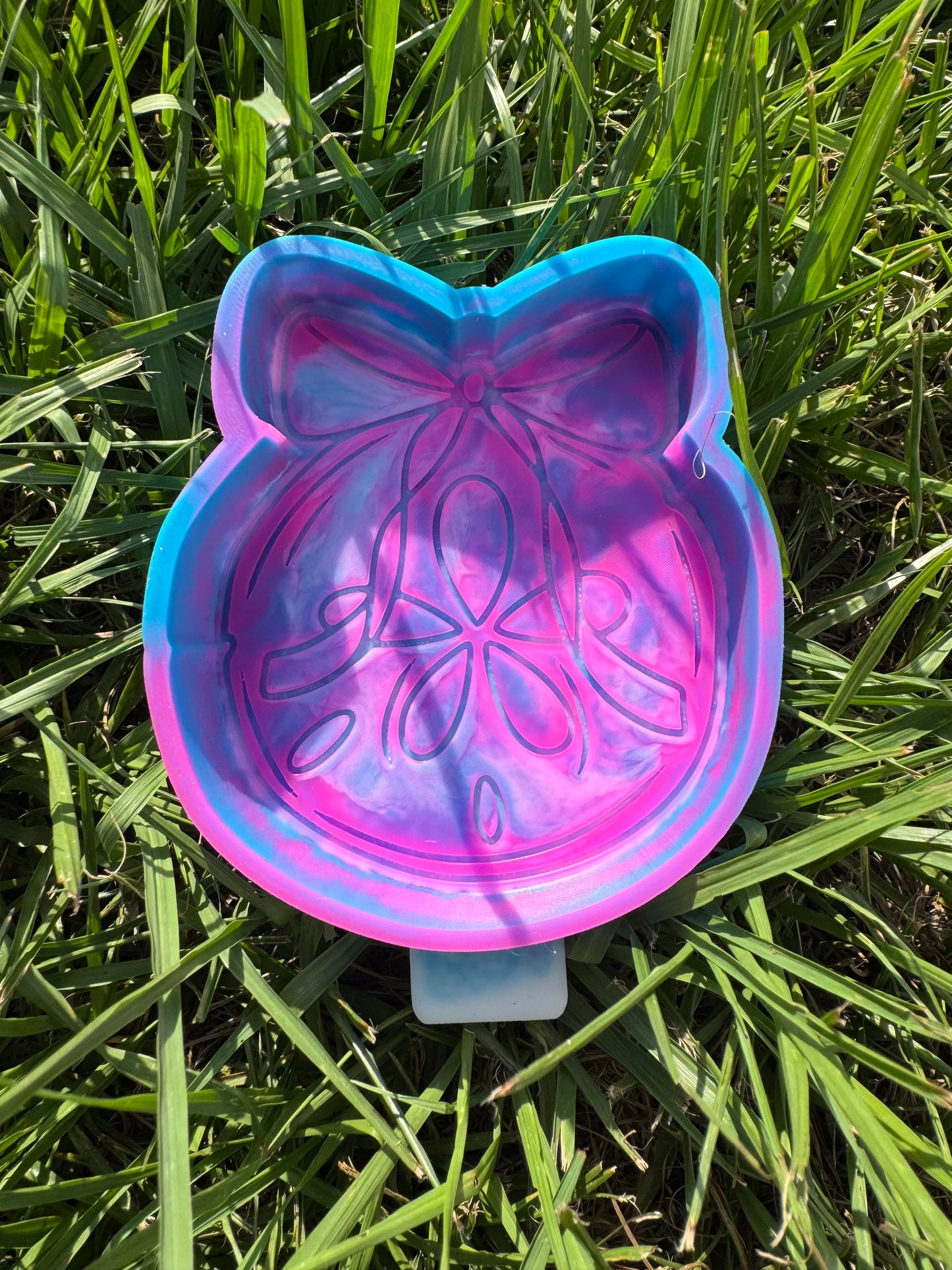 Sand Dollar with Bow