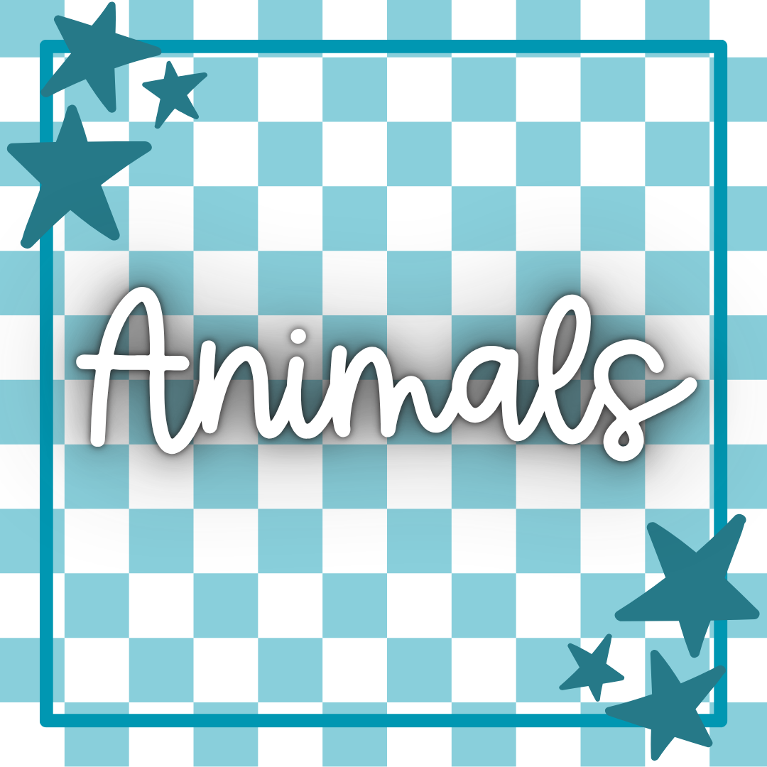 Animals