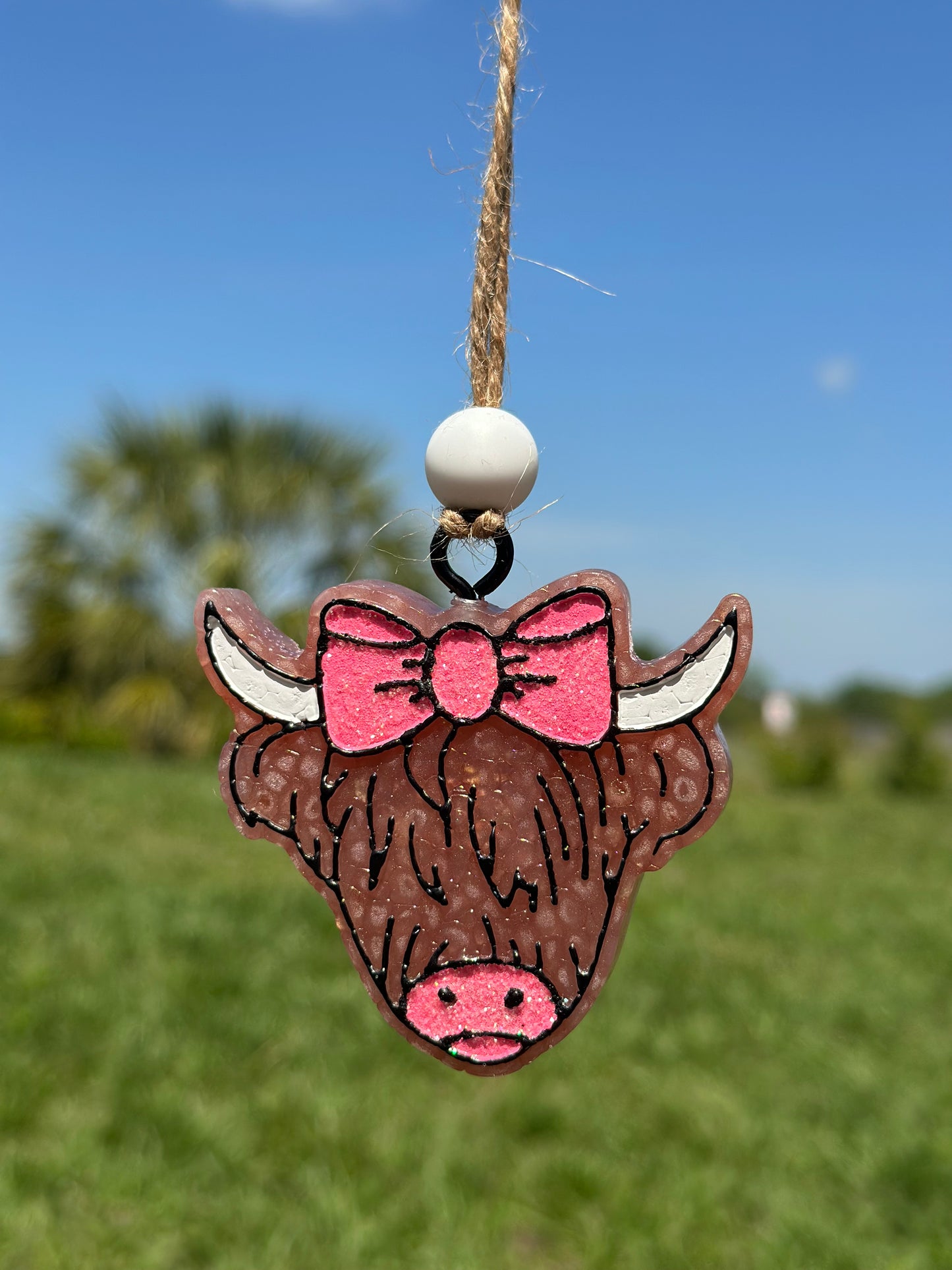 Highland Cow