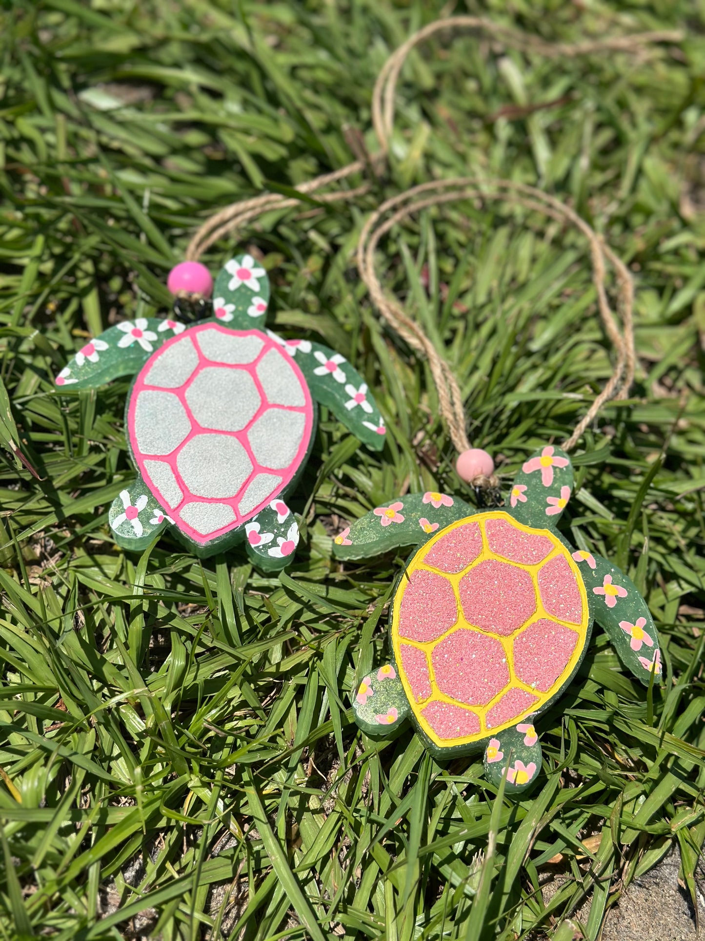 Turtle Freshie