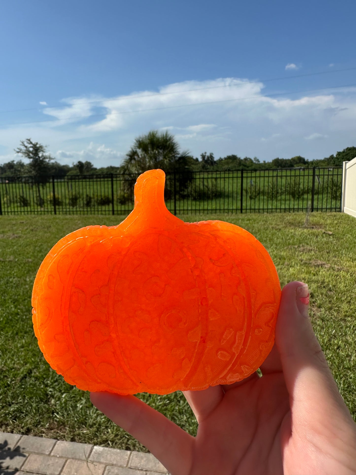 Leopard/Cheetah Pumpkin freshie