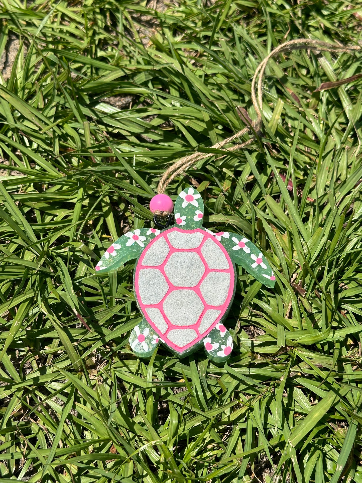 Turtle Freshie