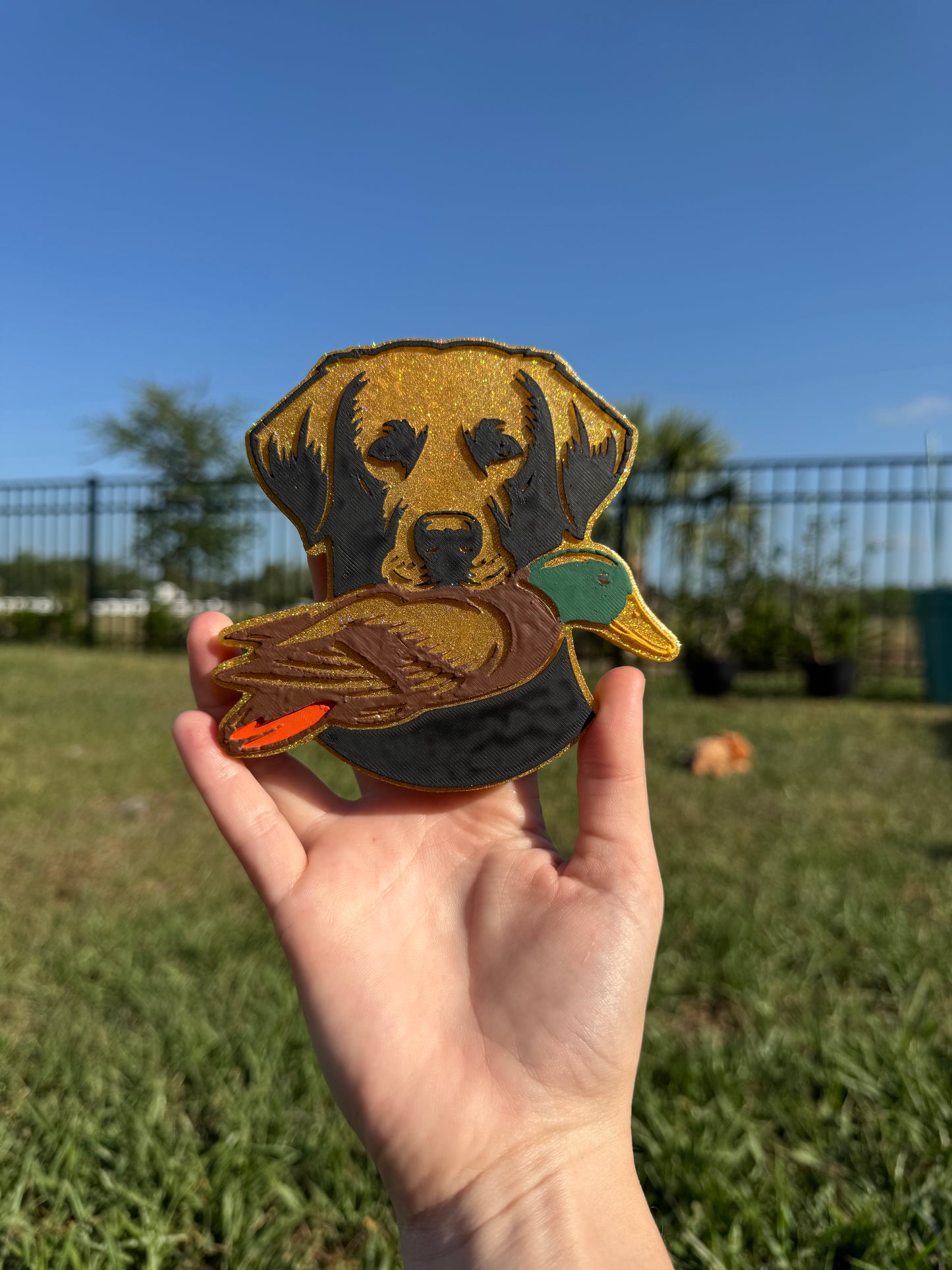 Lab with Duck