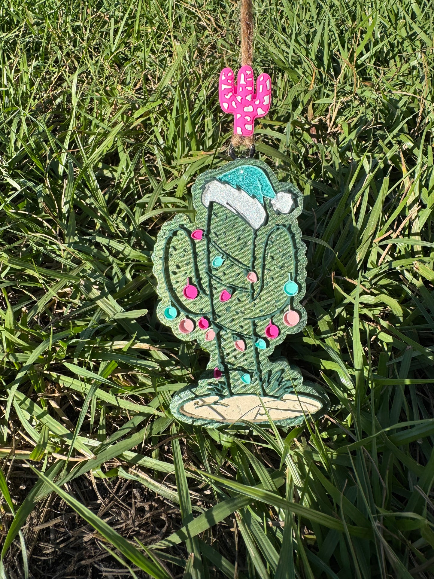 Christmas Cactus