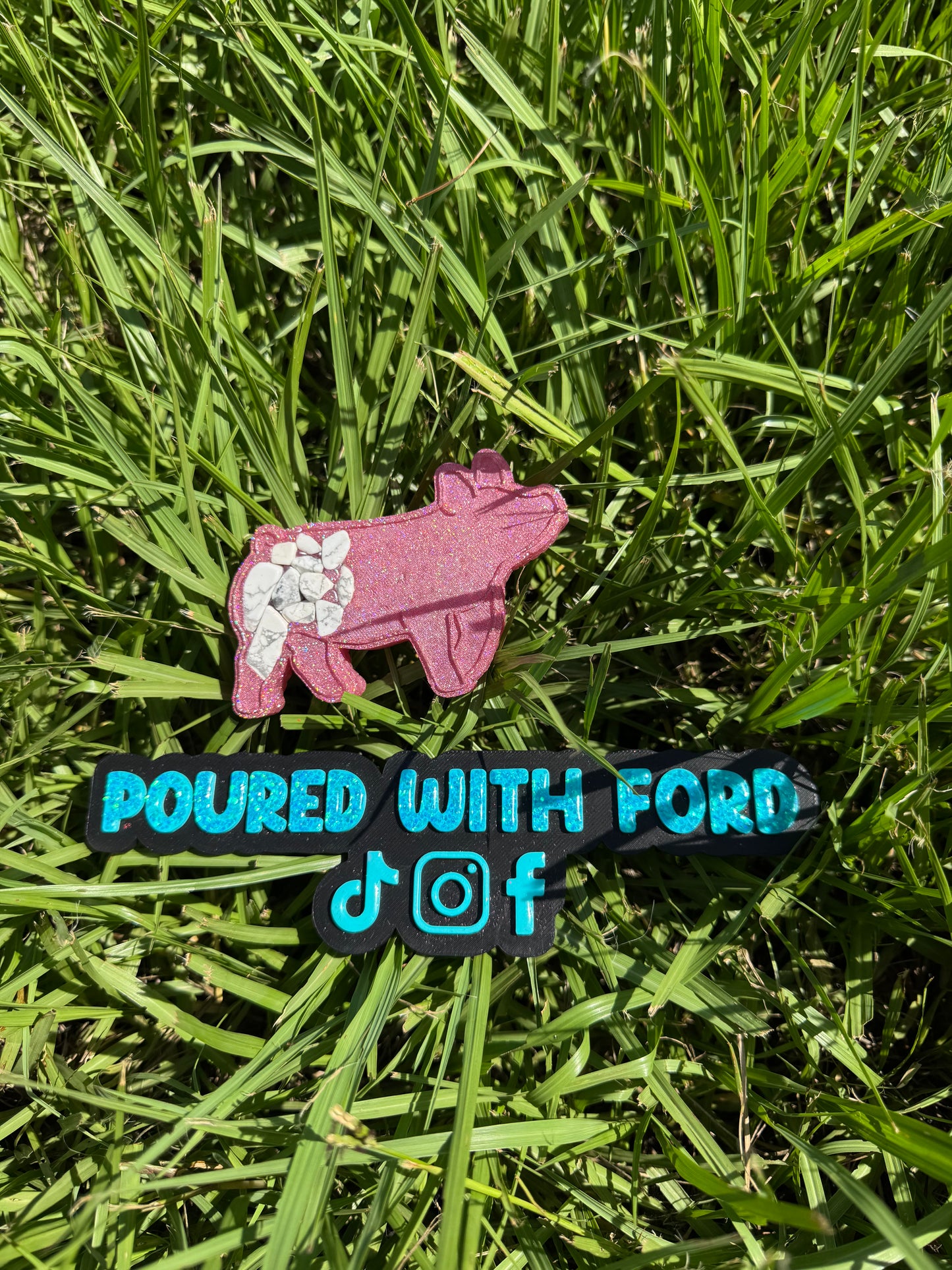 Show Pig