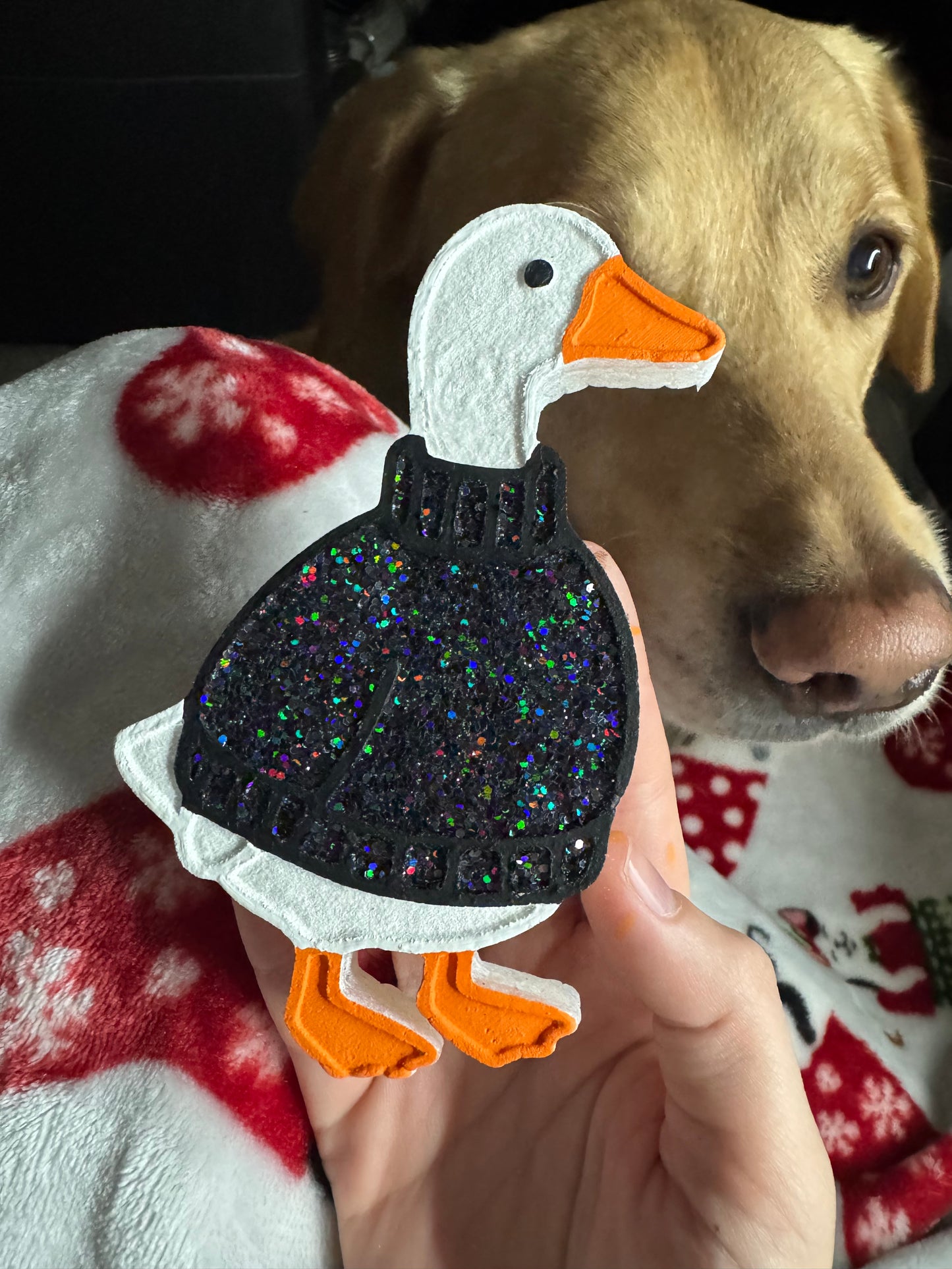 Sweater goose
