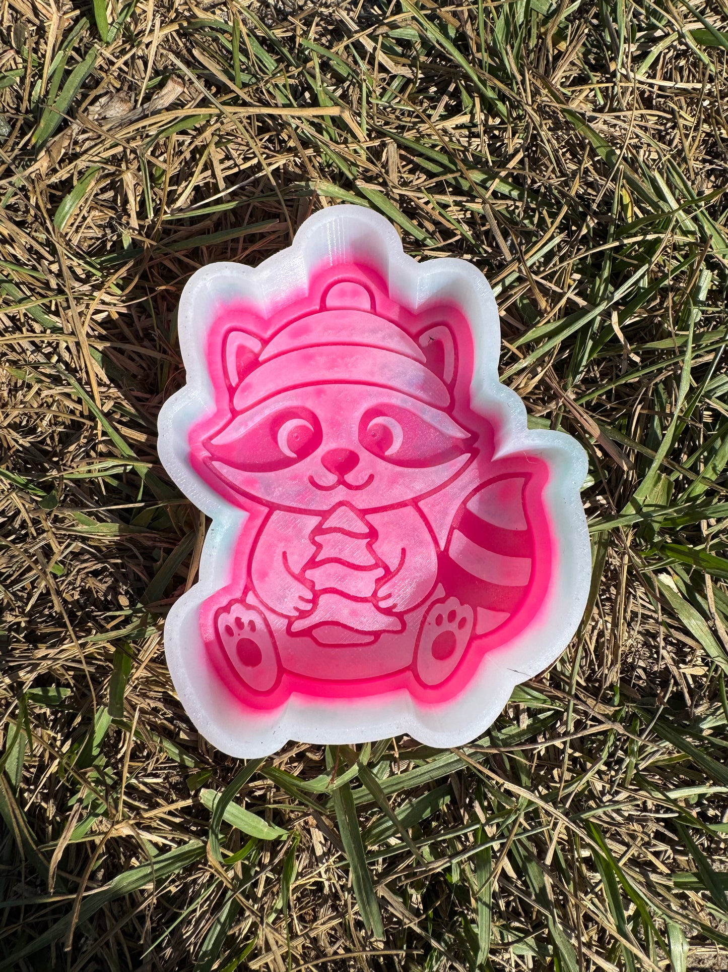 Snack cake raccoon