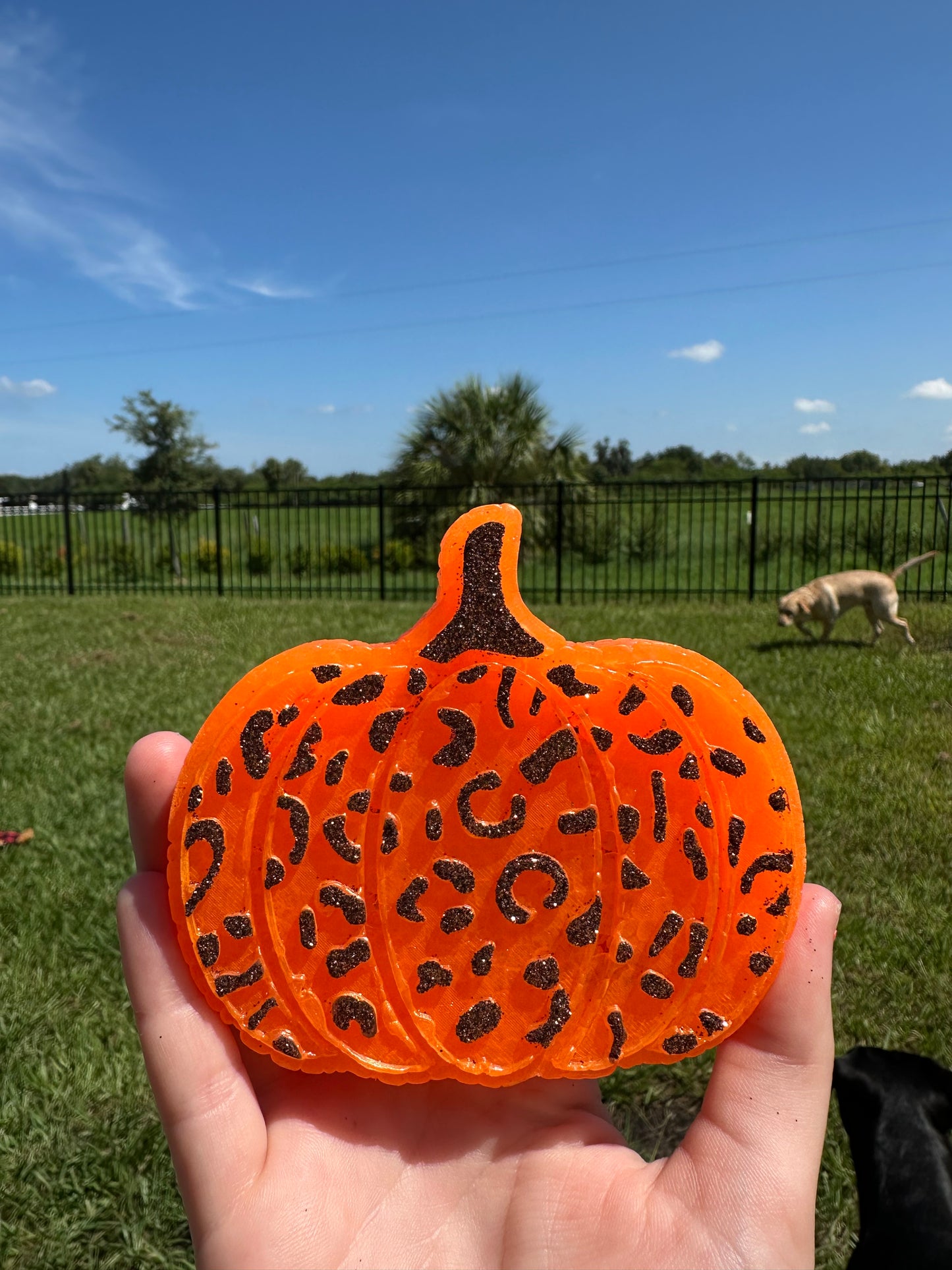 Leopard/Cheetah Pumpkin freshie