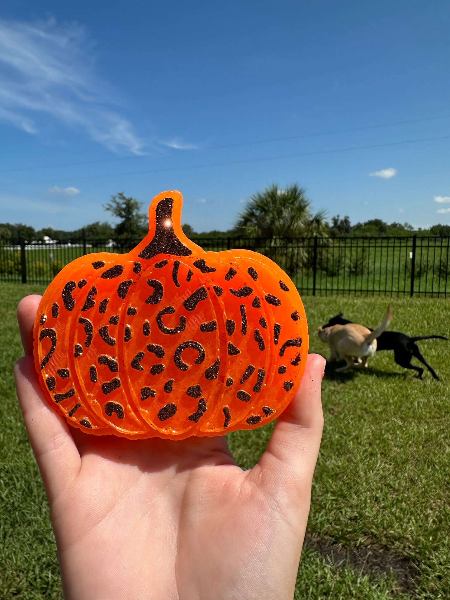 Leopard/Cheetah Pumpkin freshie