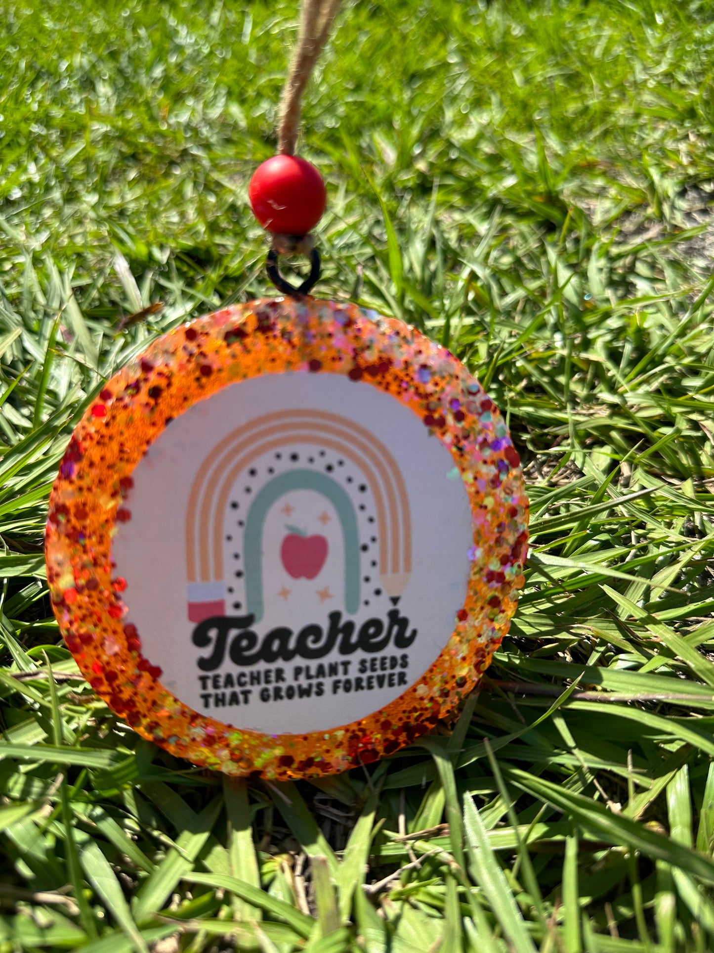 Teachers Plant Seeds Round Freshie
