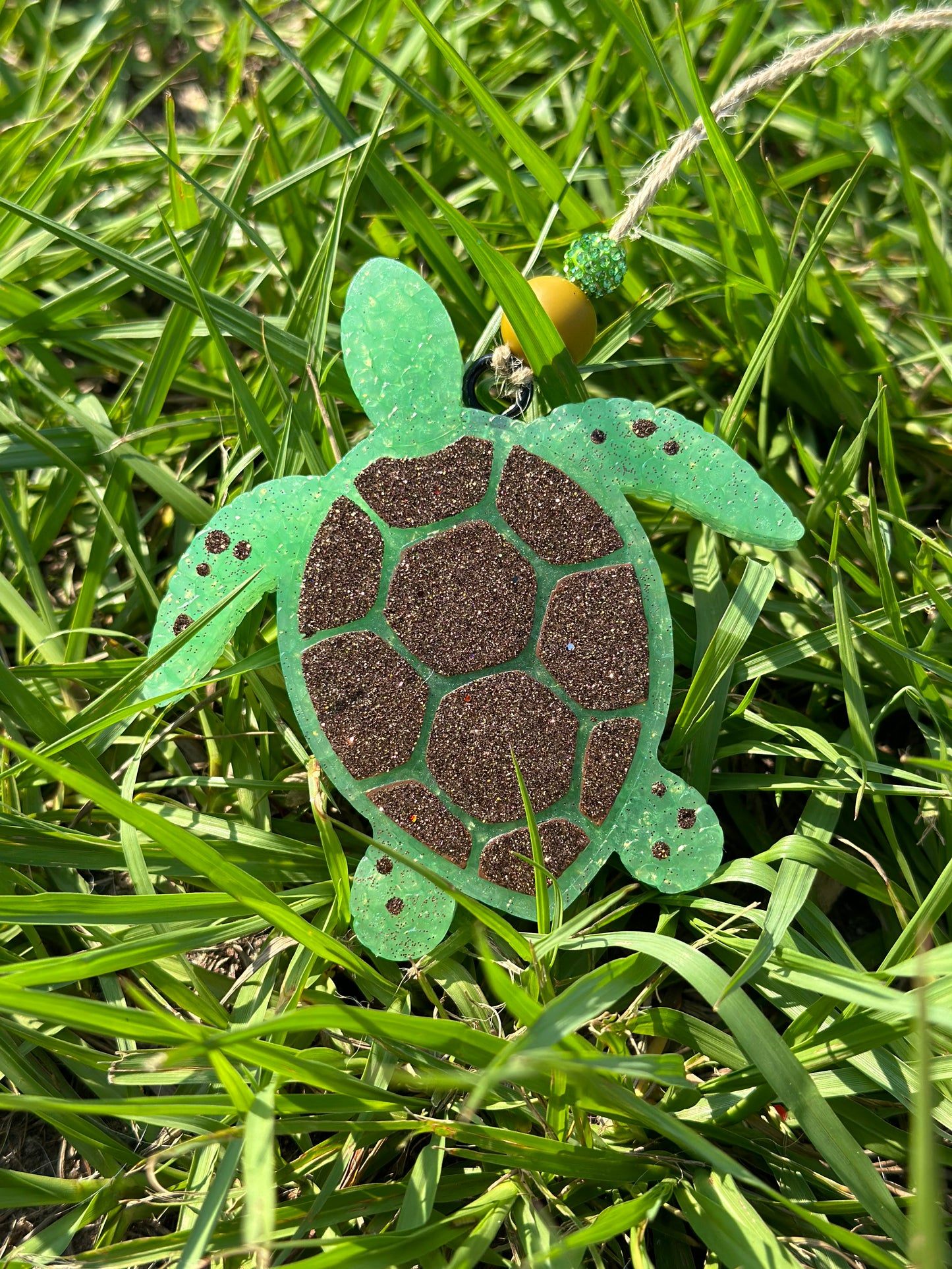 Turtle Freshie