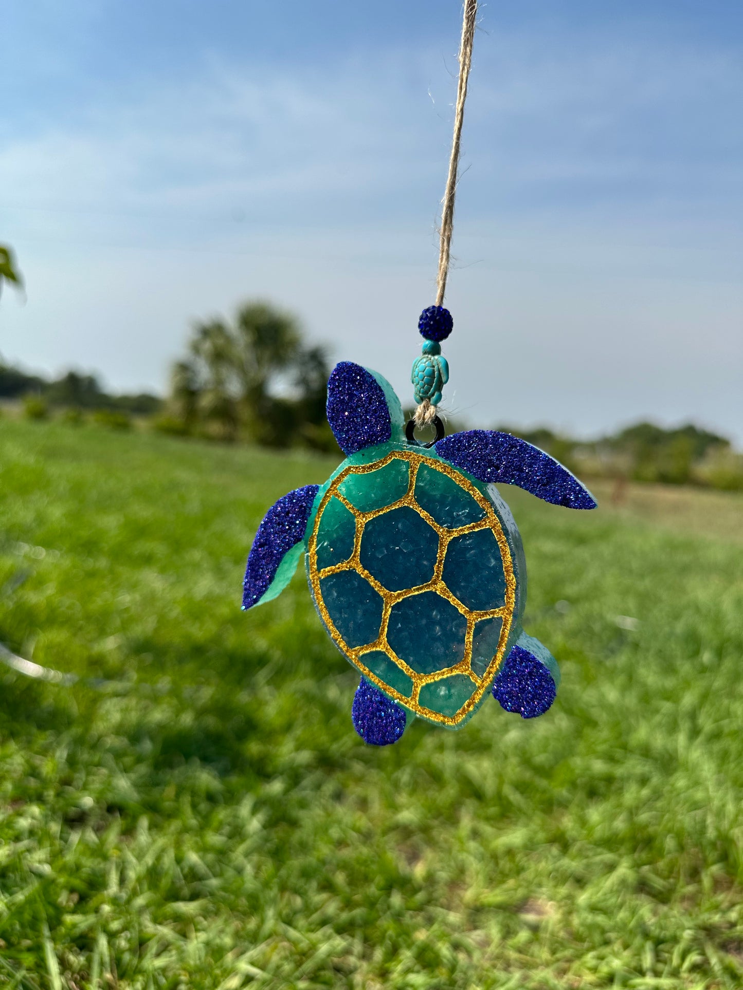 Turtle Freshie
