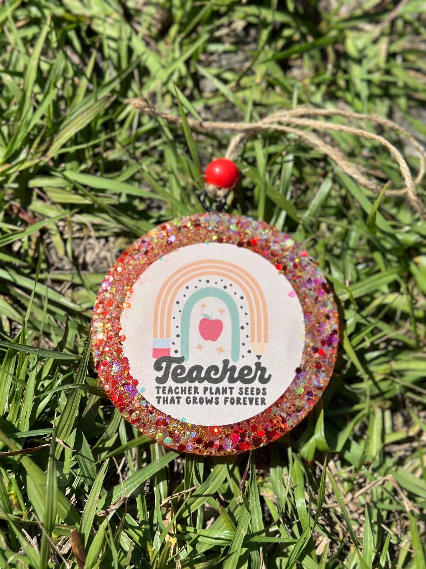 Teachers Plant Seeds Round Freshie