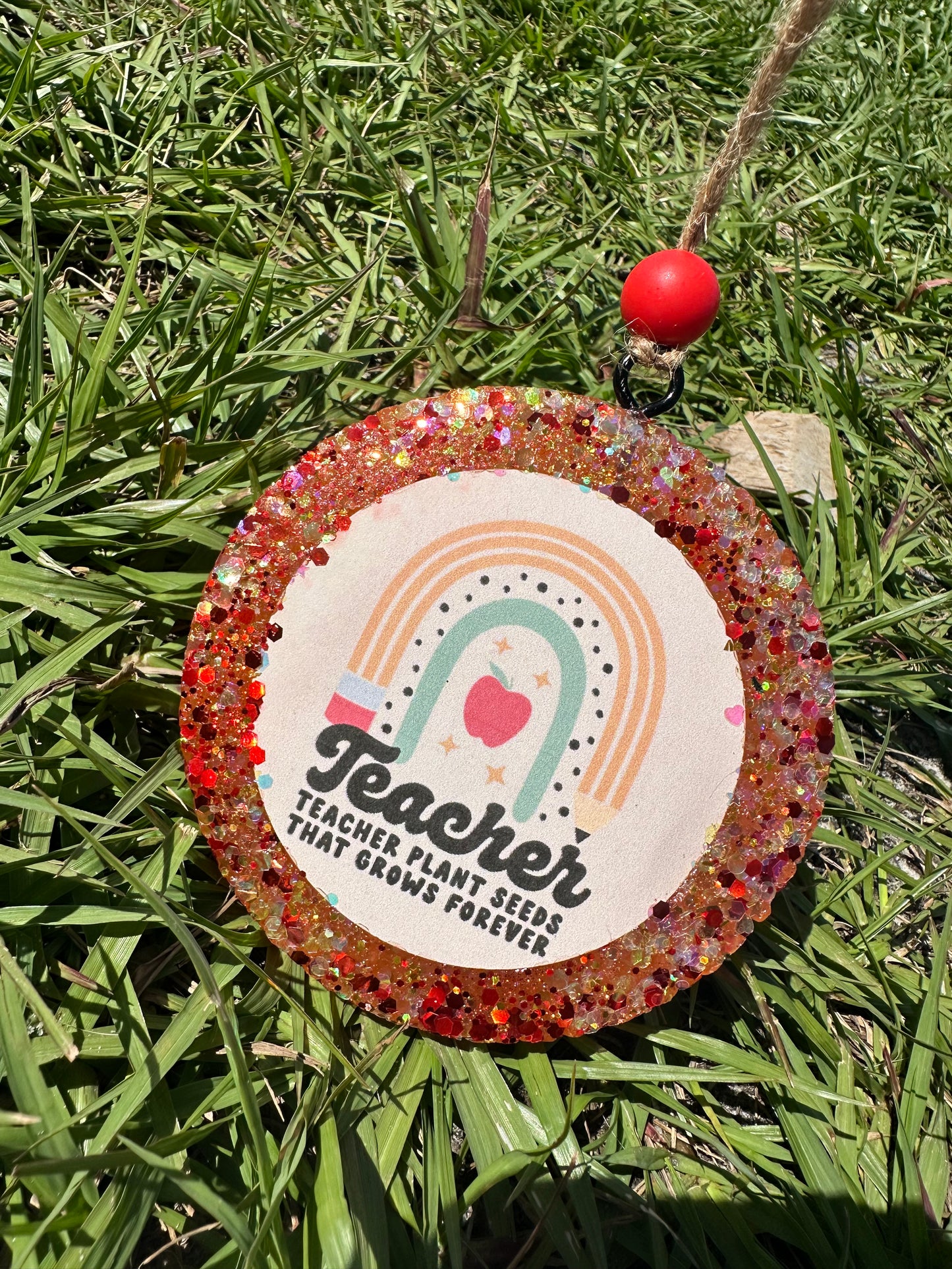 Teachers Plant Seeds Round Freshie