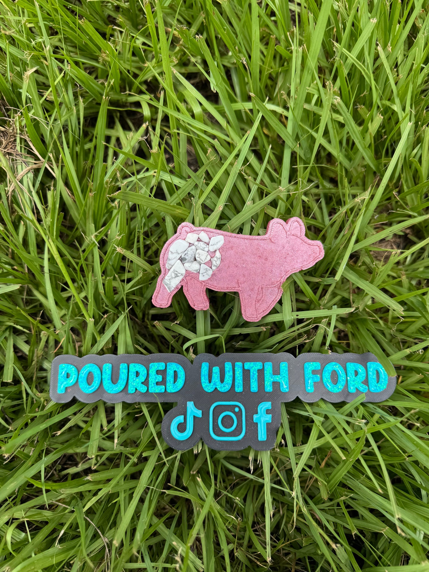 Show Pig