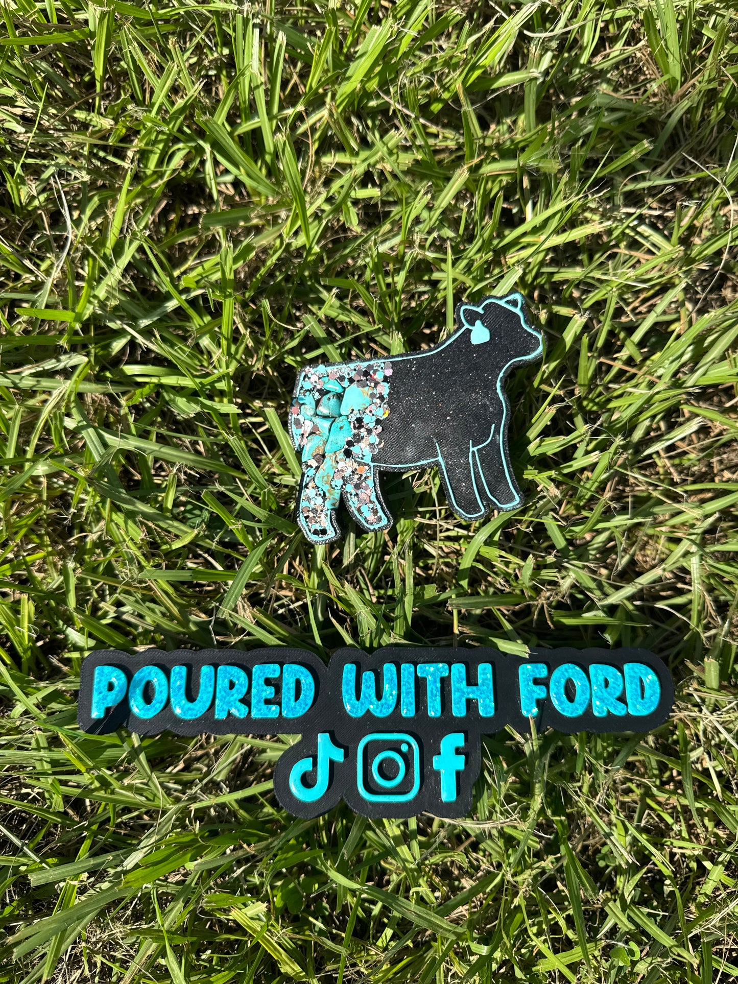 Show Cow with Tag
