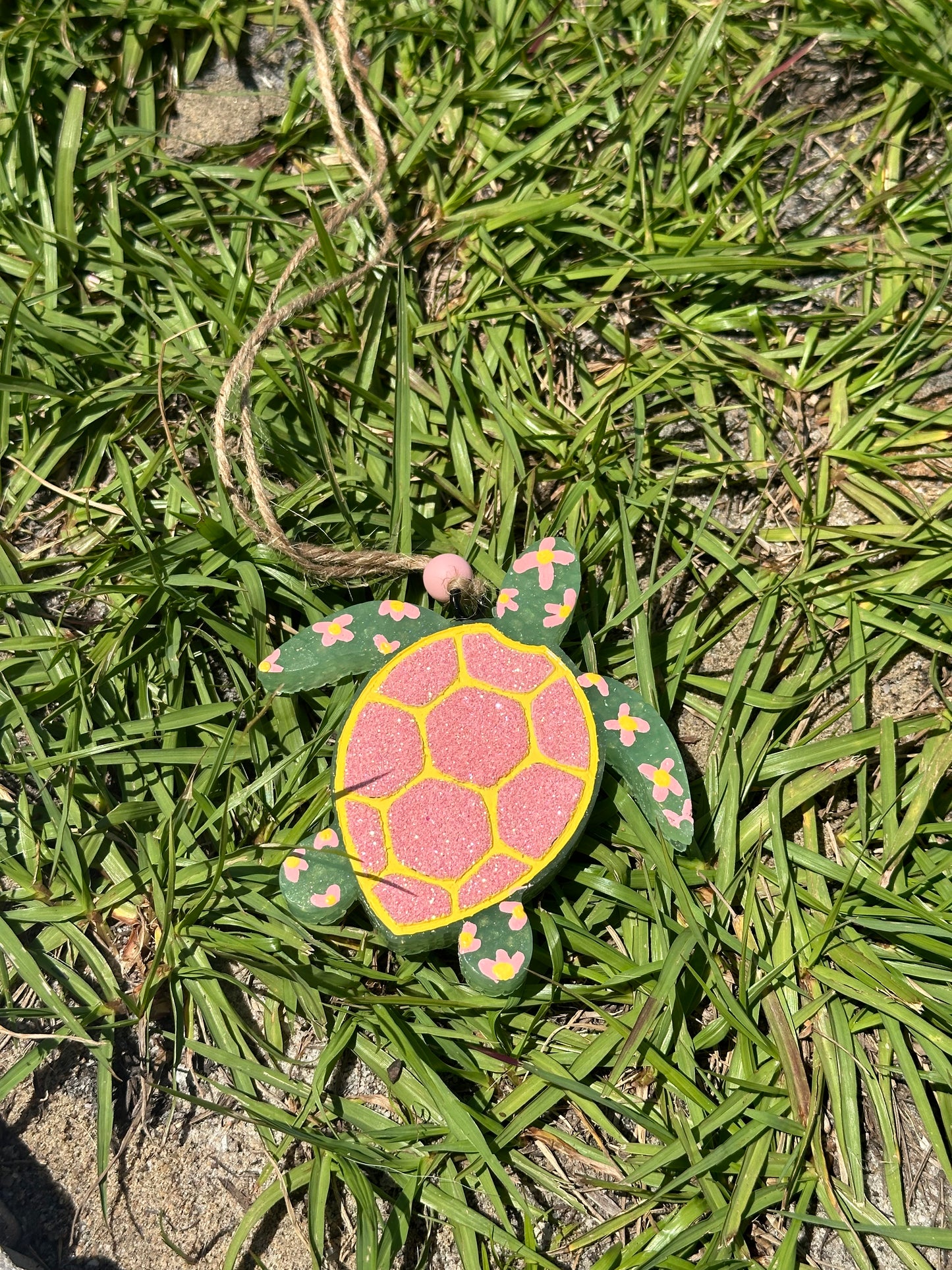 Turtle Freshie