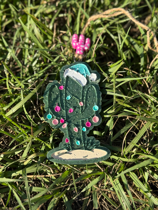 Christmas Cactus