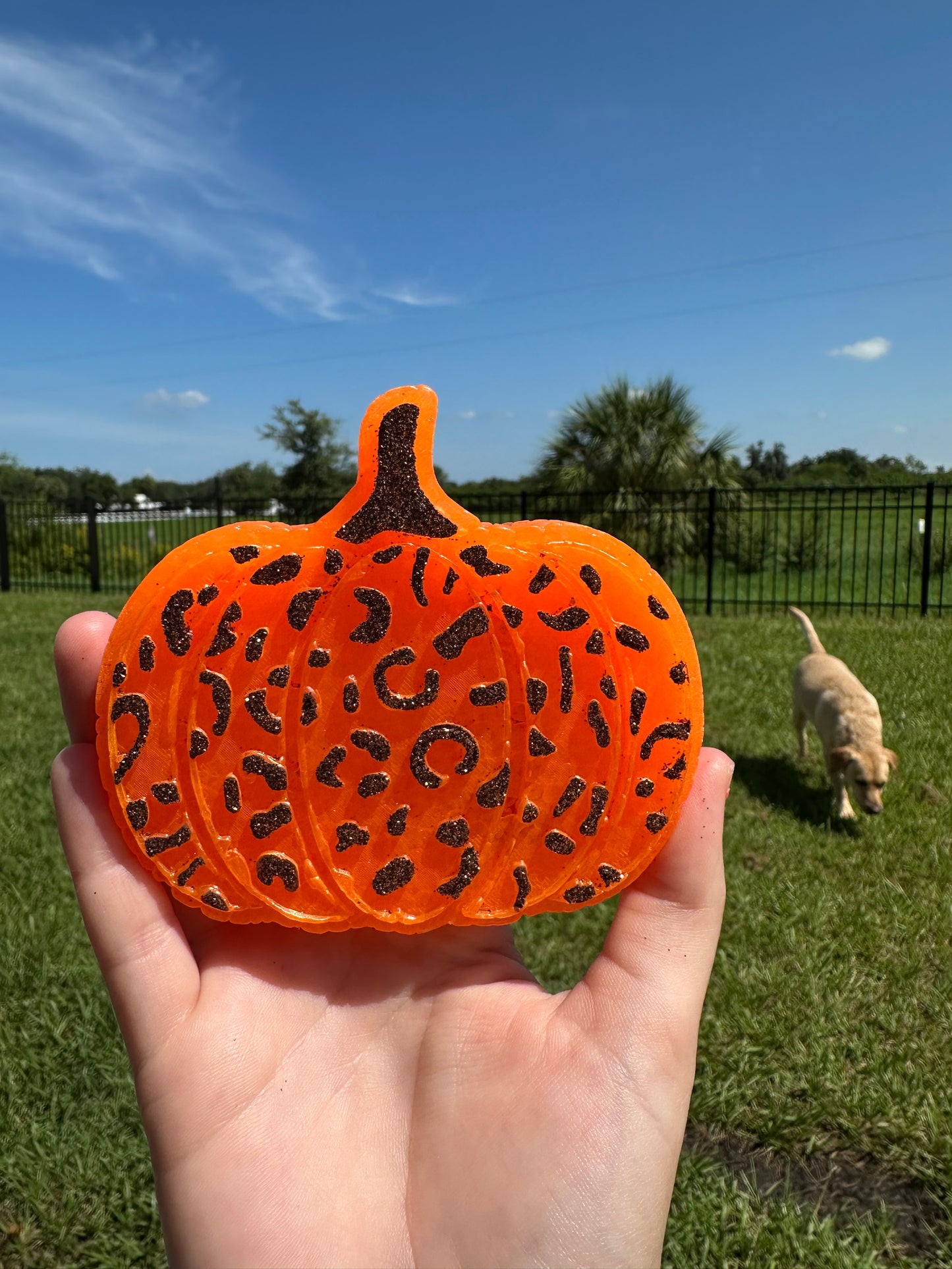 Leopard/Cheetah Pumpkin freshie