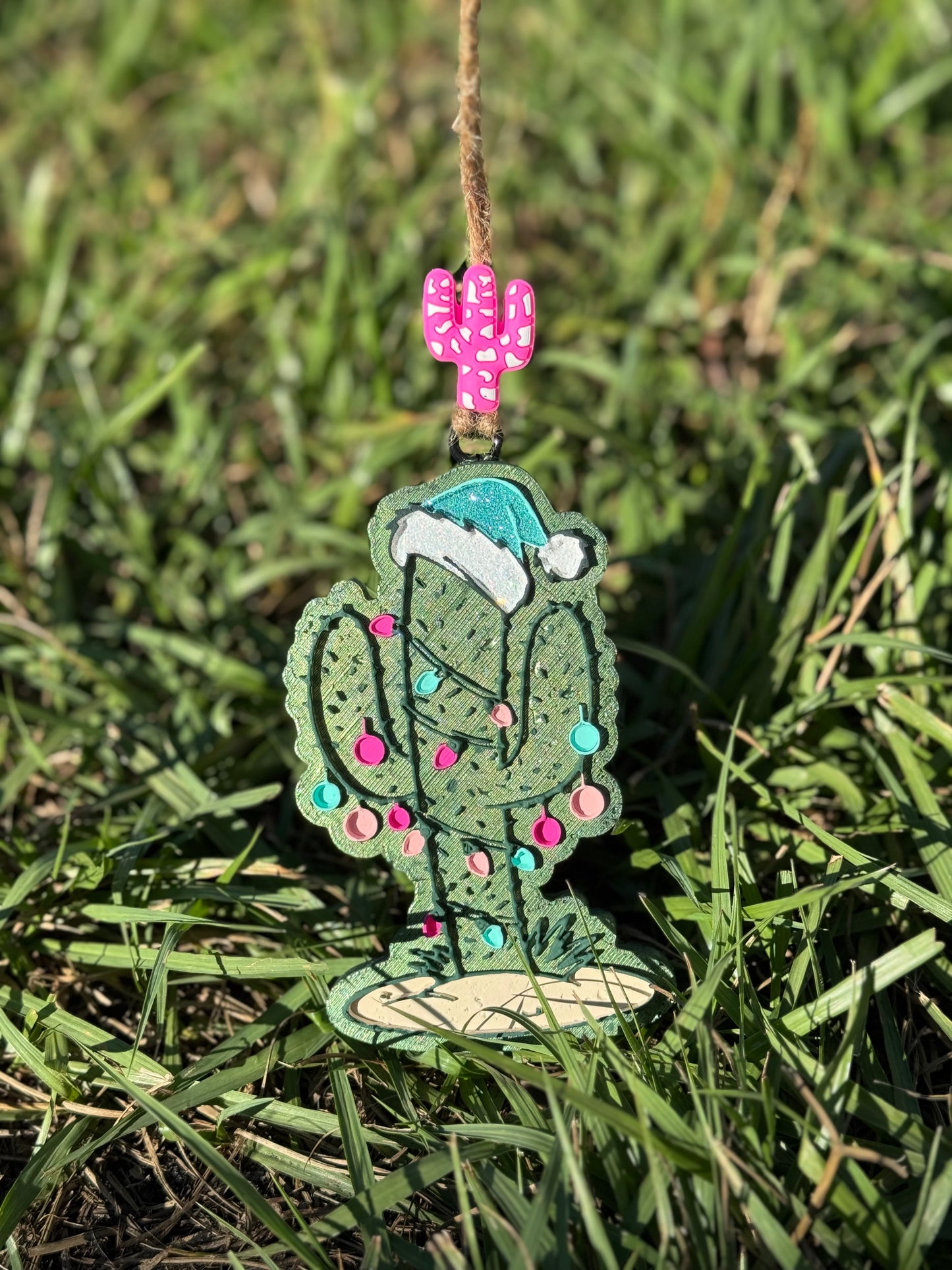 Christmas Cactus