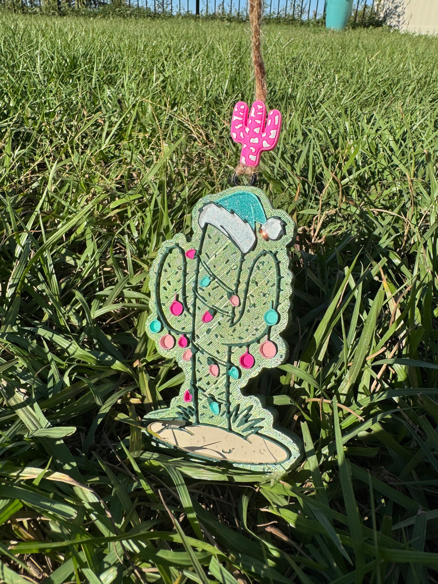 Christmas Cactus