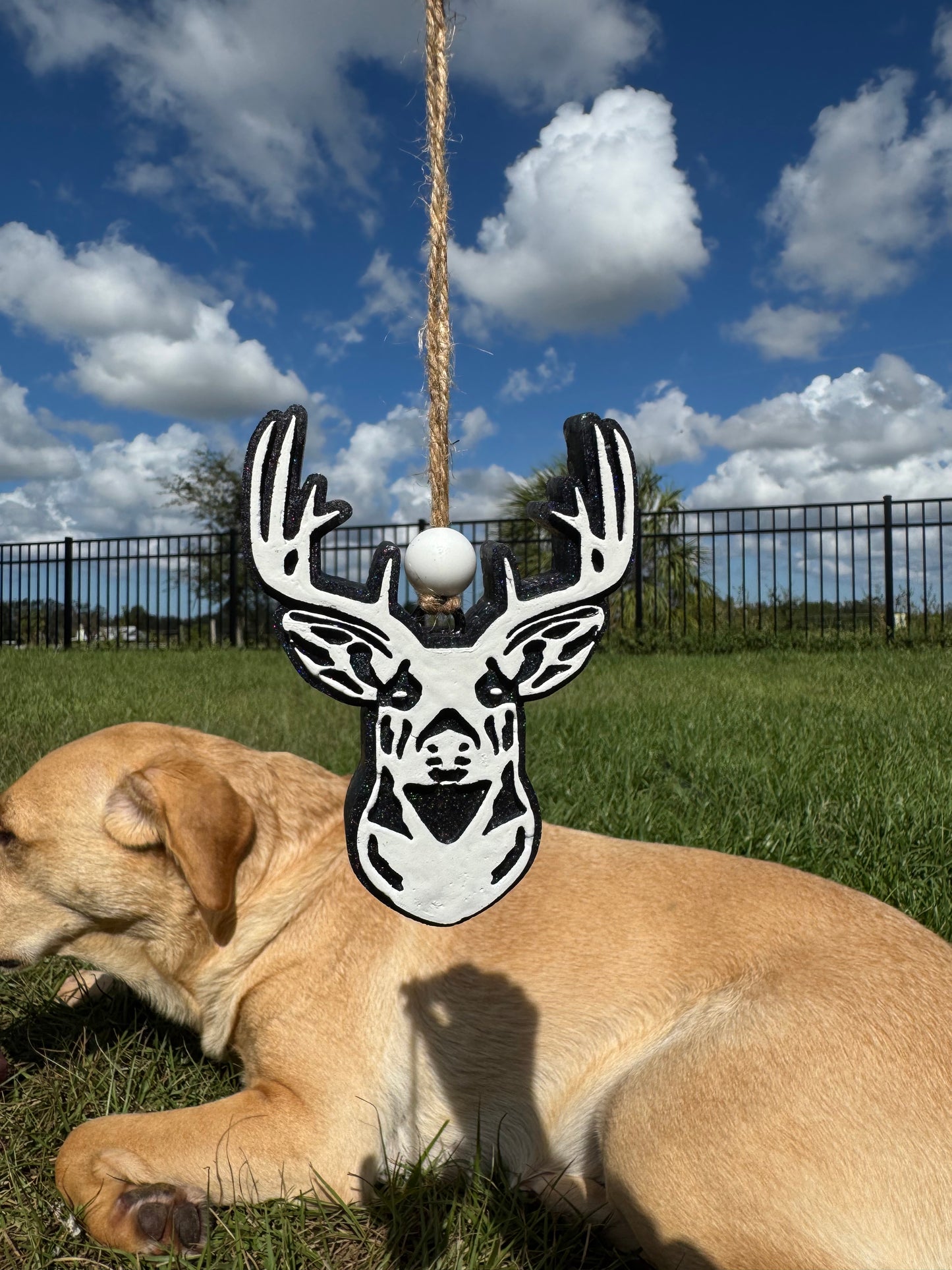 Deer/Buck Head