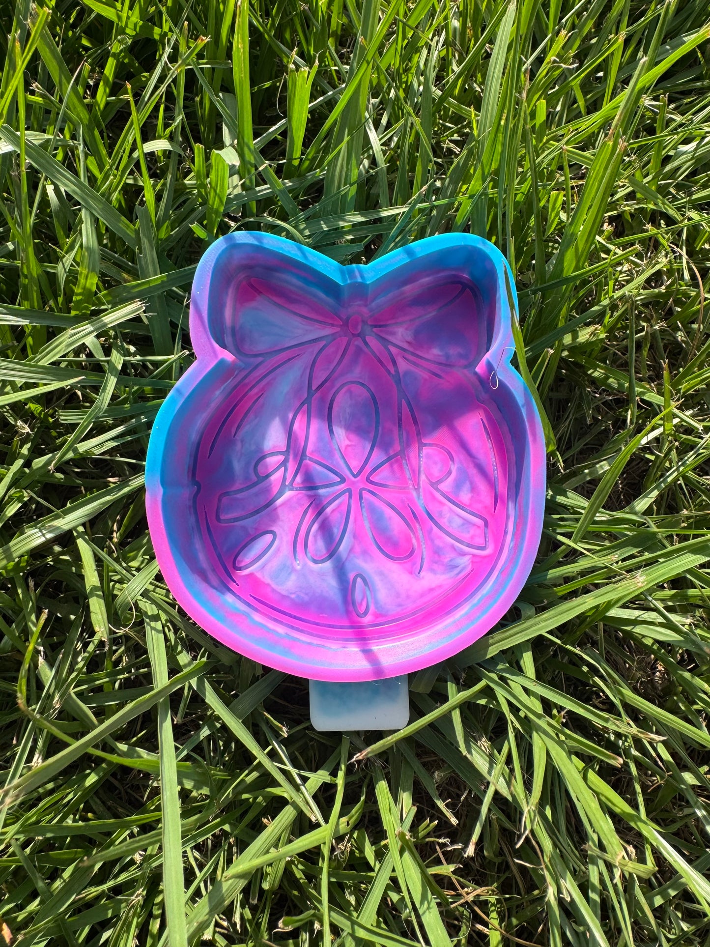 Sand Dollar with Bow