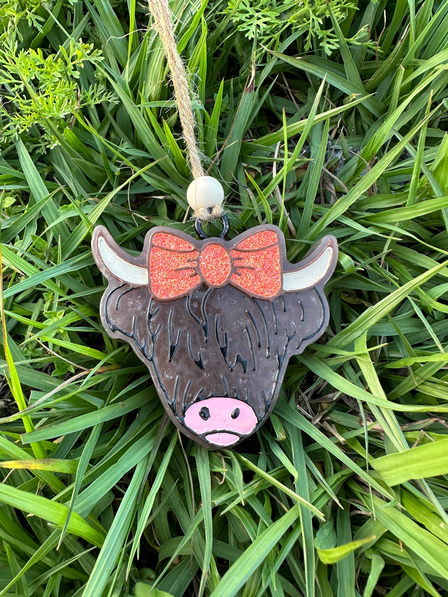 Highland Cow