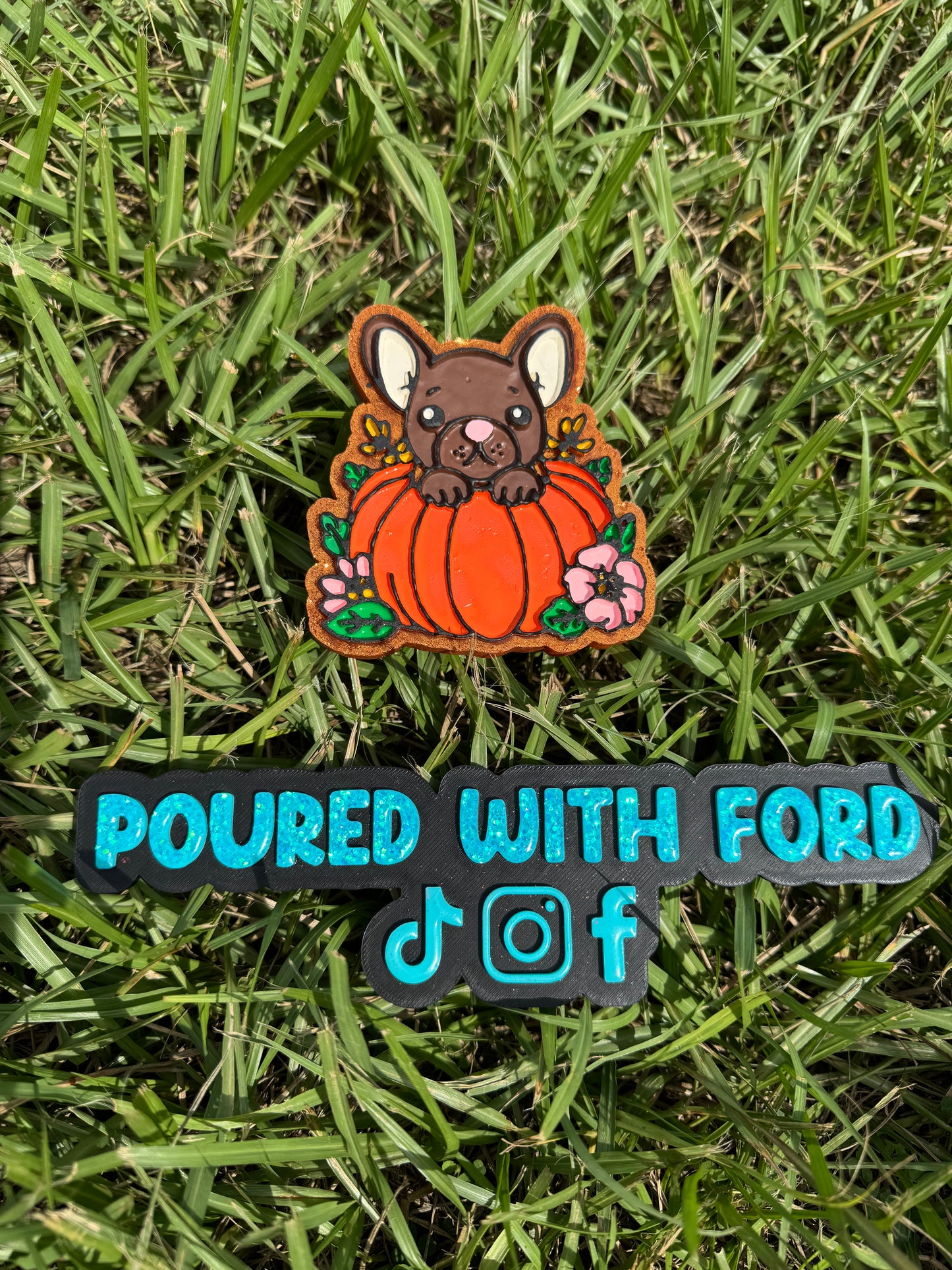 Frenchie pumpkin