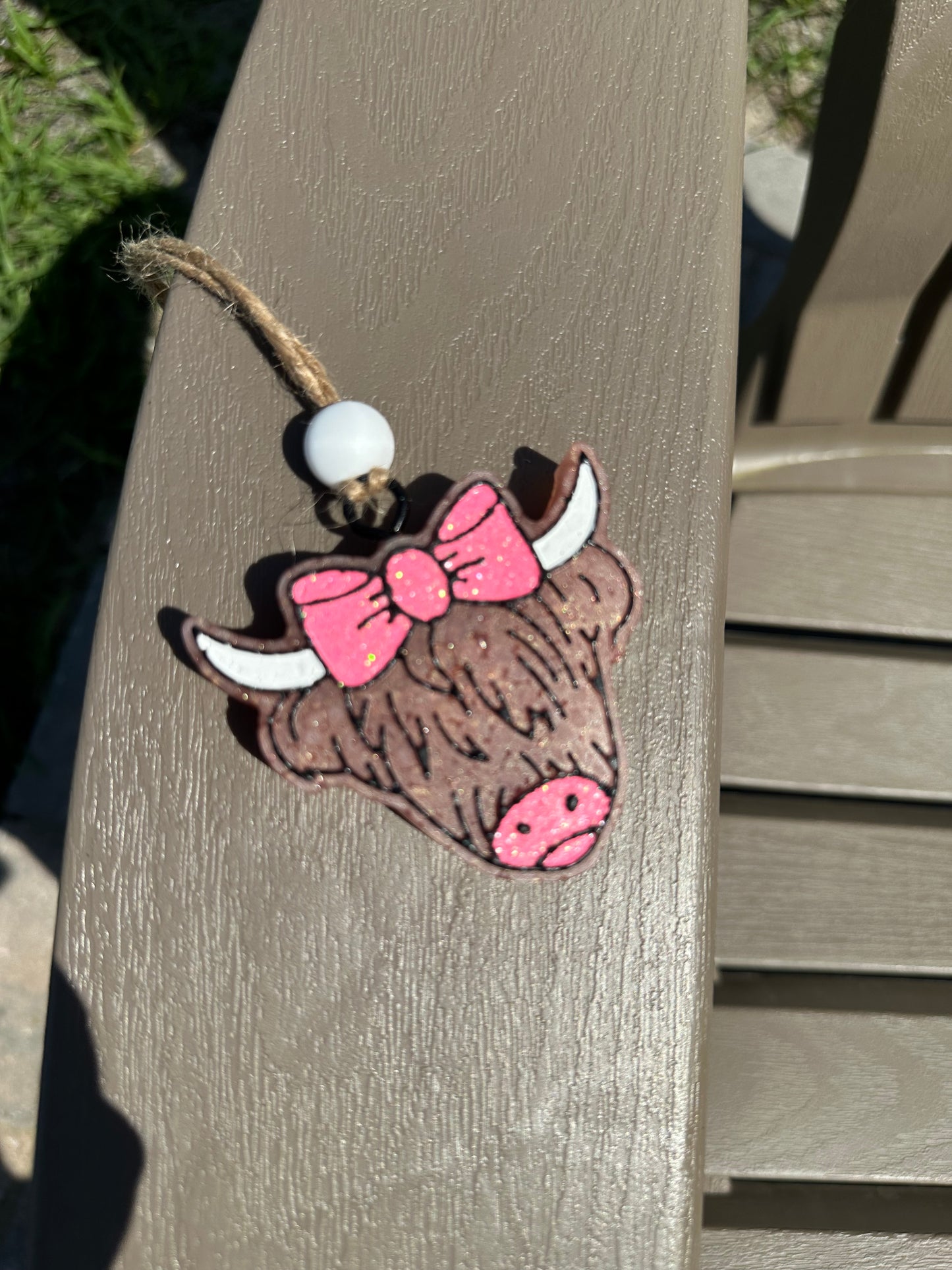 Highland Cow