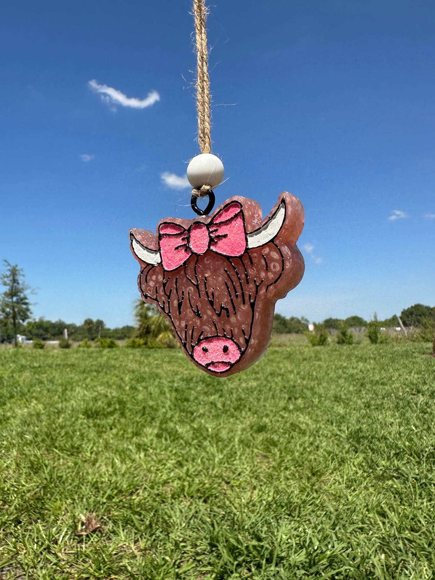 Highland Cow