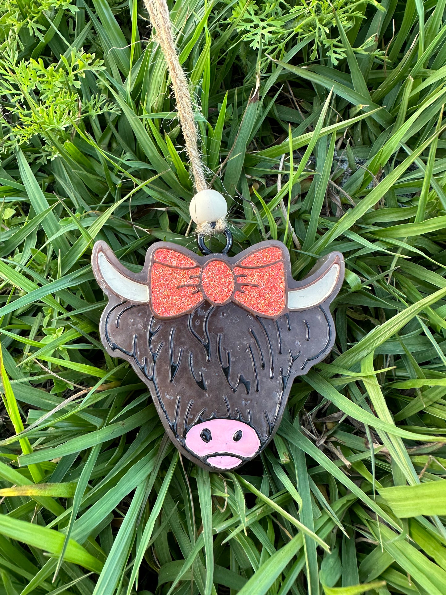 Highland Cow