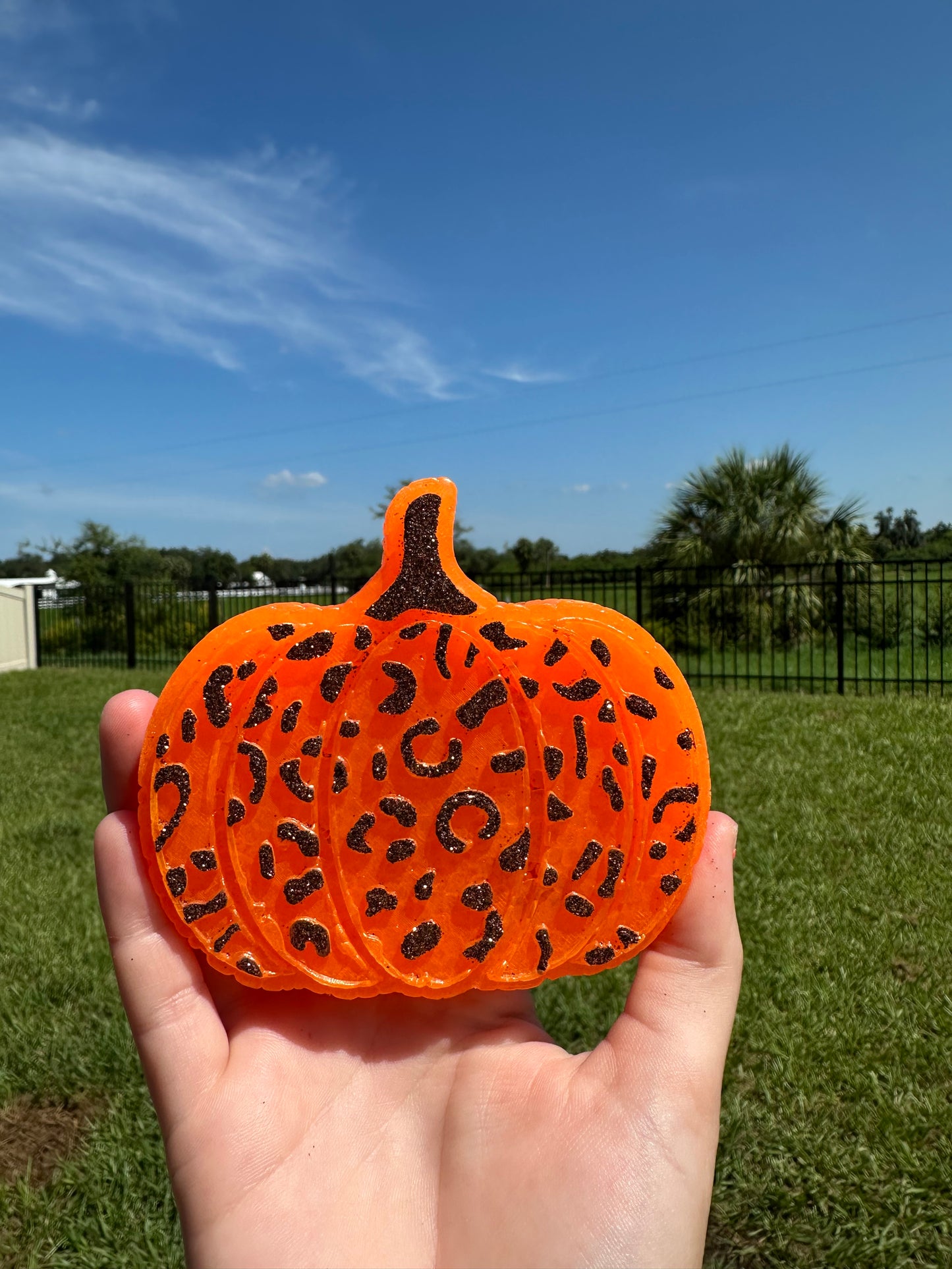 Leopard/Cheetah Pumpkin freshie