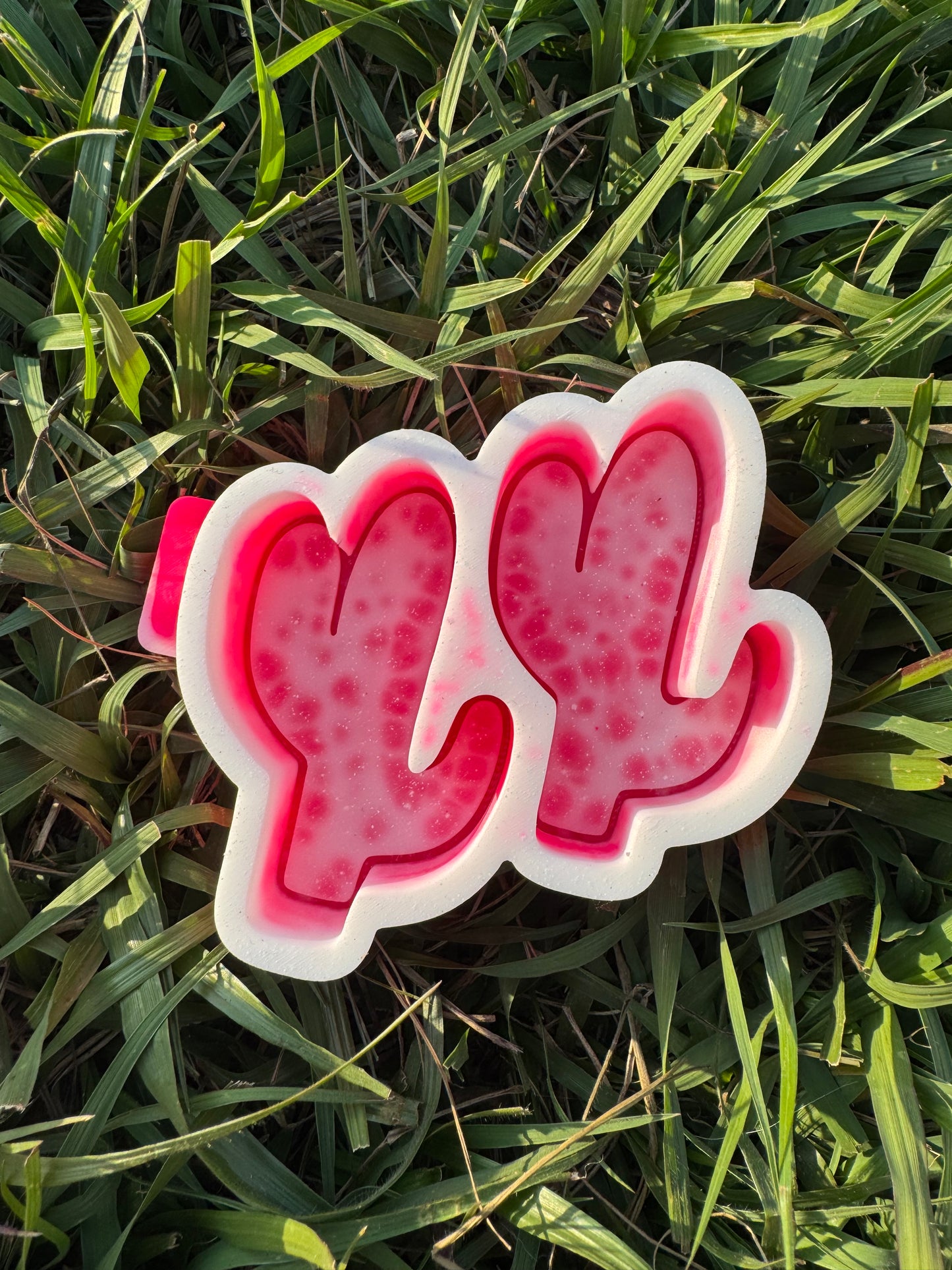 Cactus Vent Clips