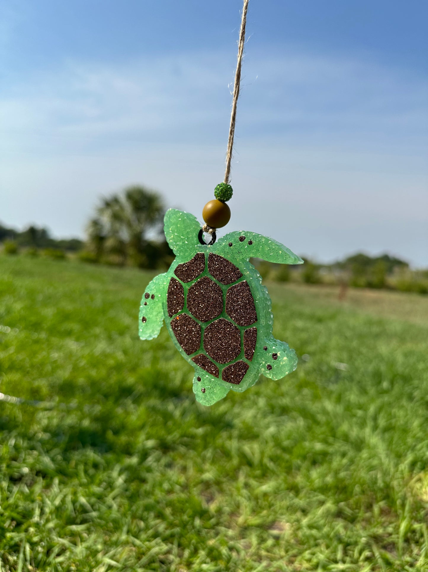 Turtle Freshie