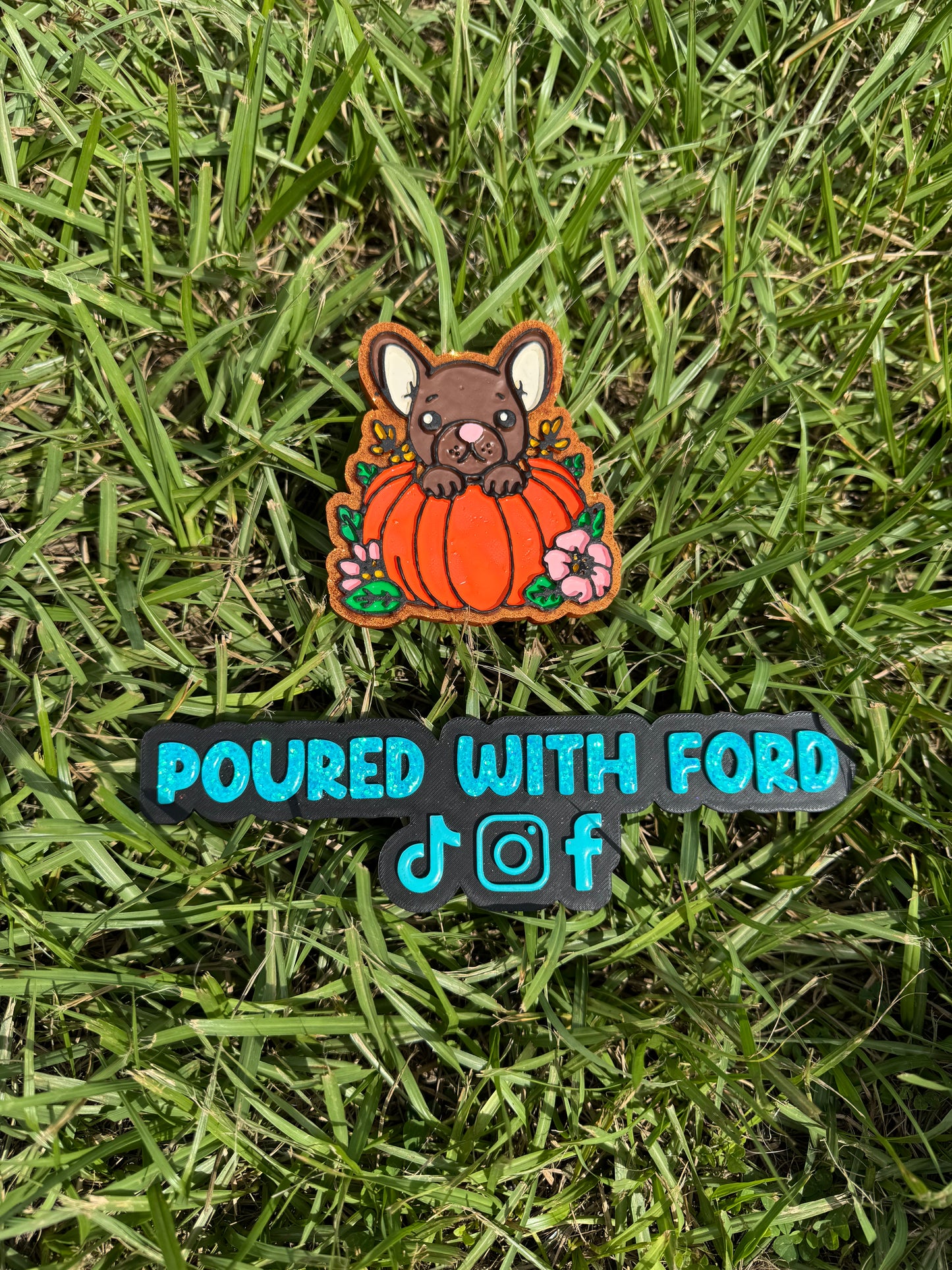 Frenchie pumpkin