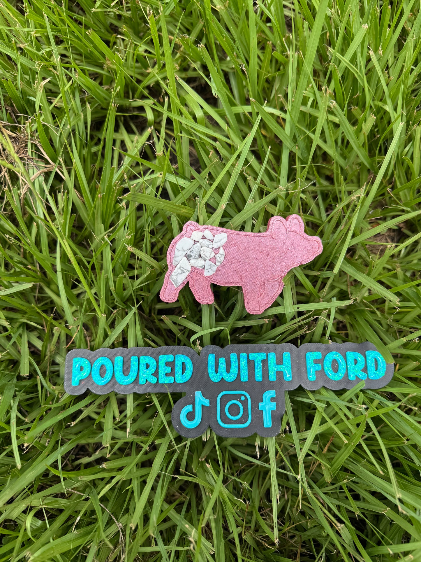 Show Pig