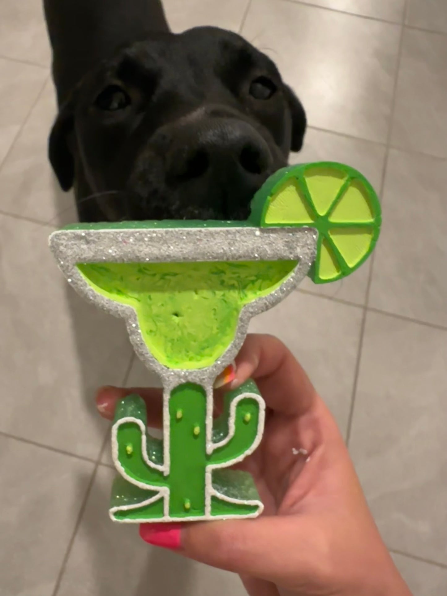 Margarita drink cactus