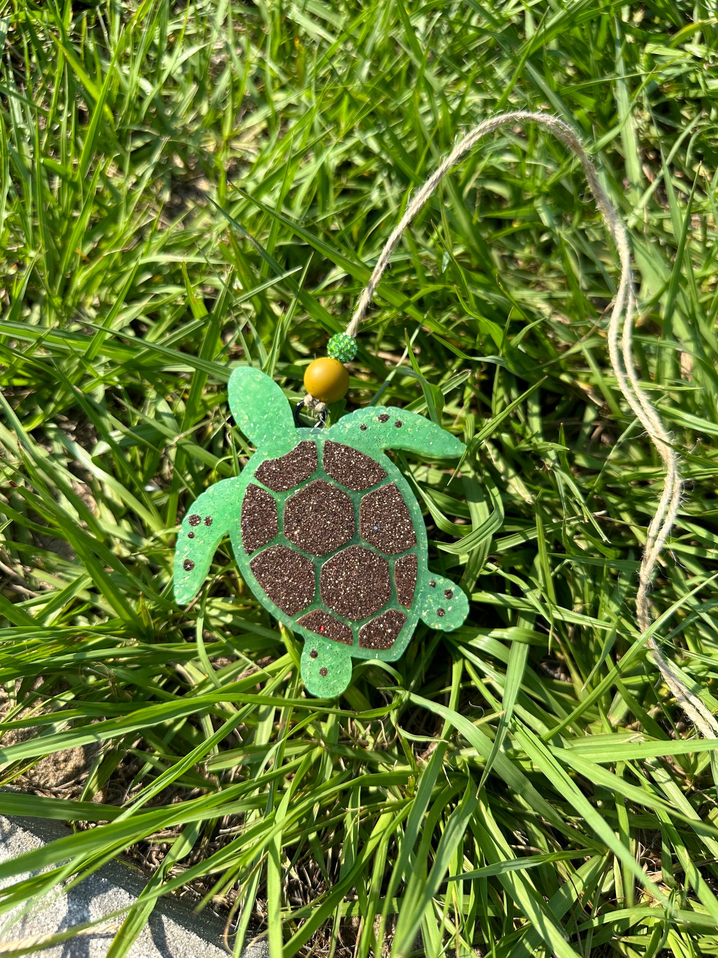 Turtle Freshie