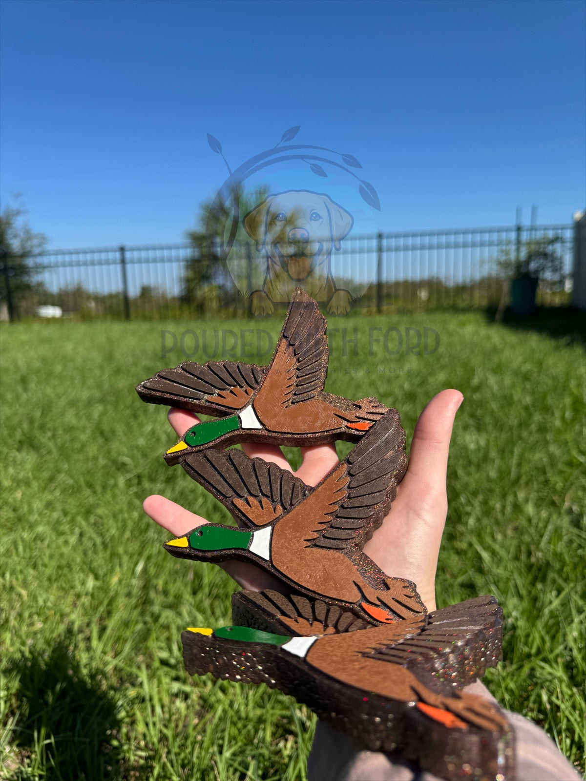 Mallard Duck