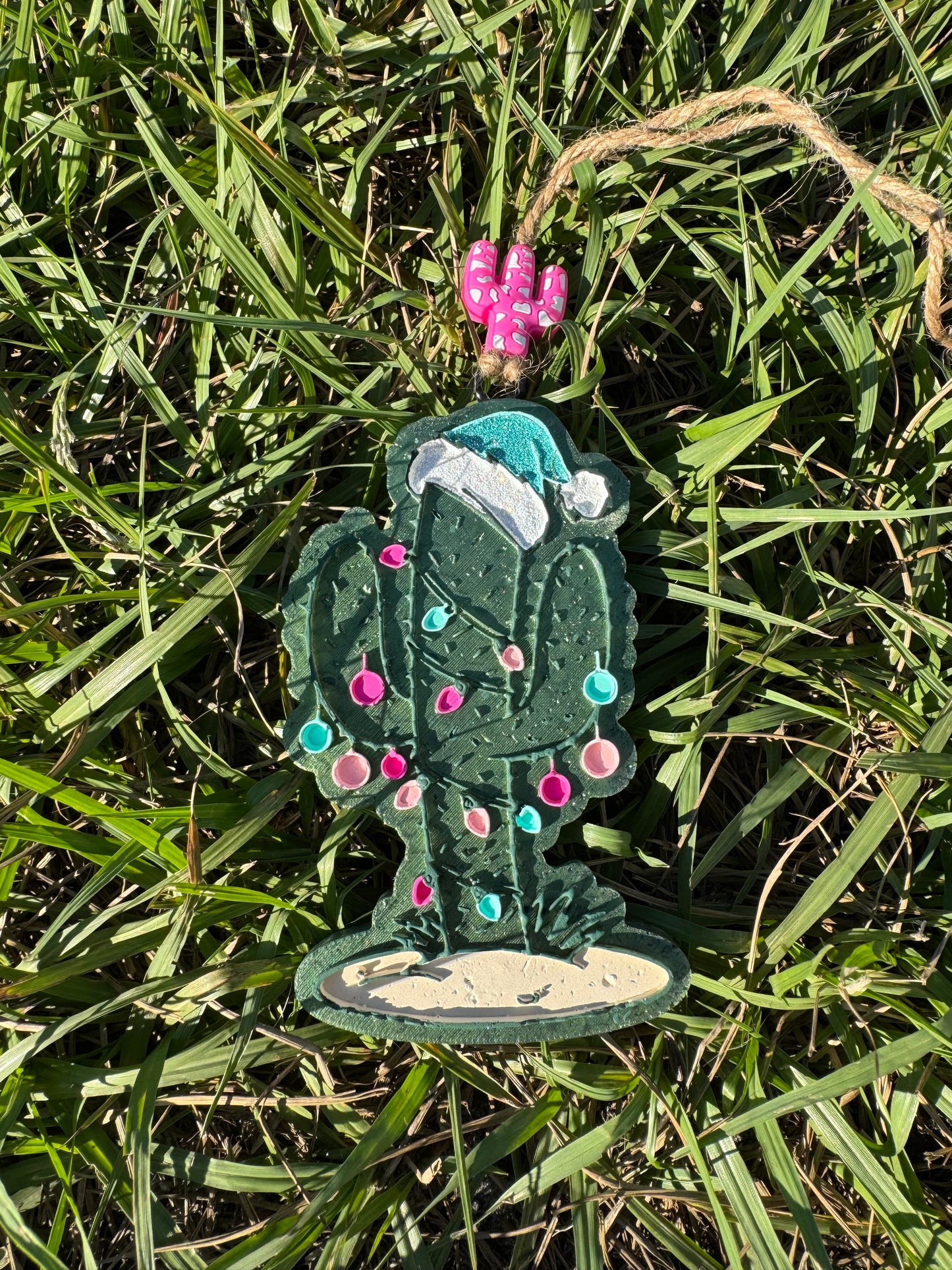 Christmas Cactus