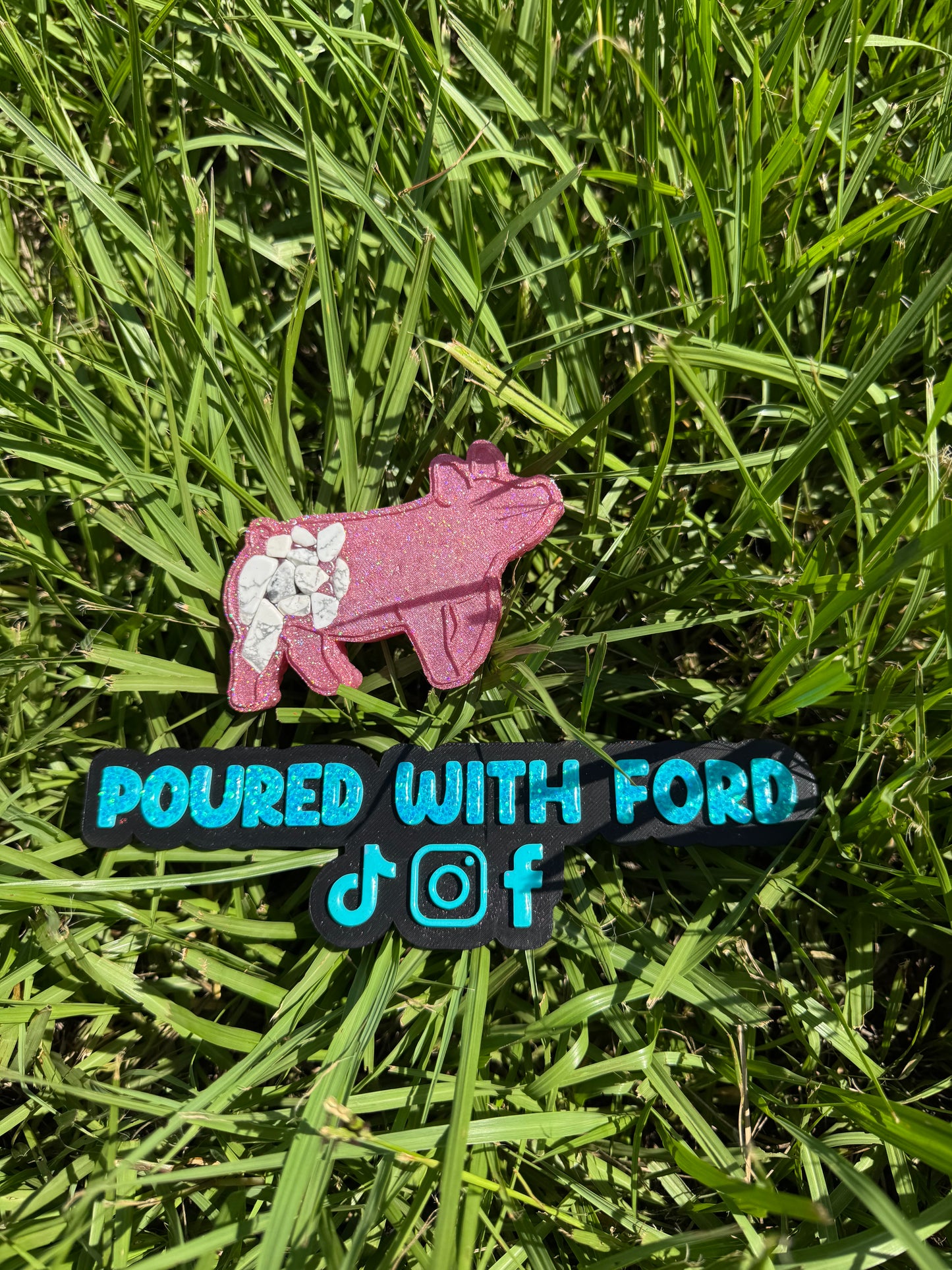 Show Pig