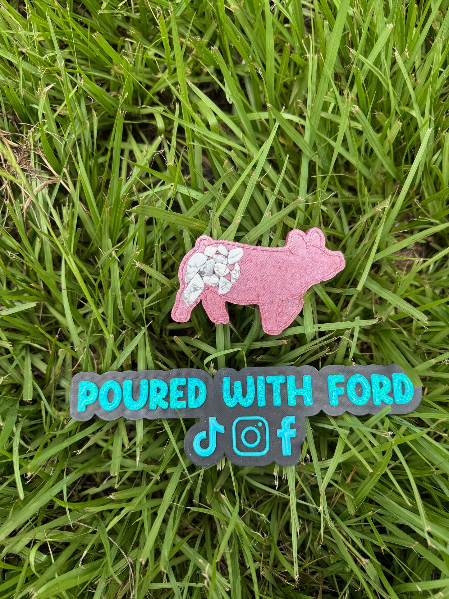 Show Pig