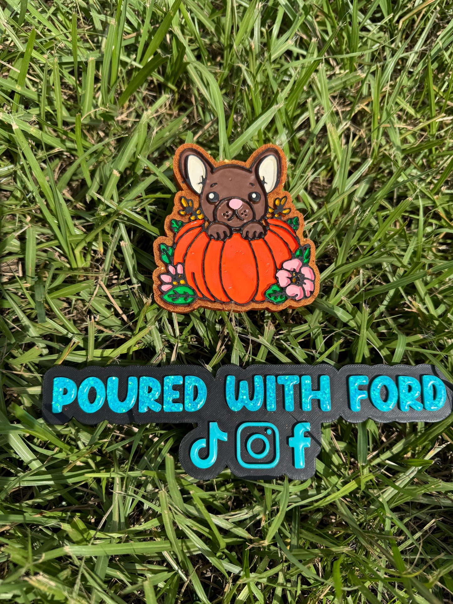 Frenchie pumpkin