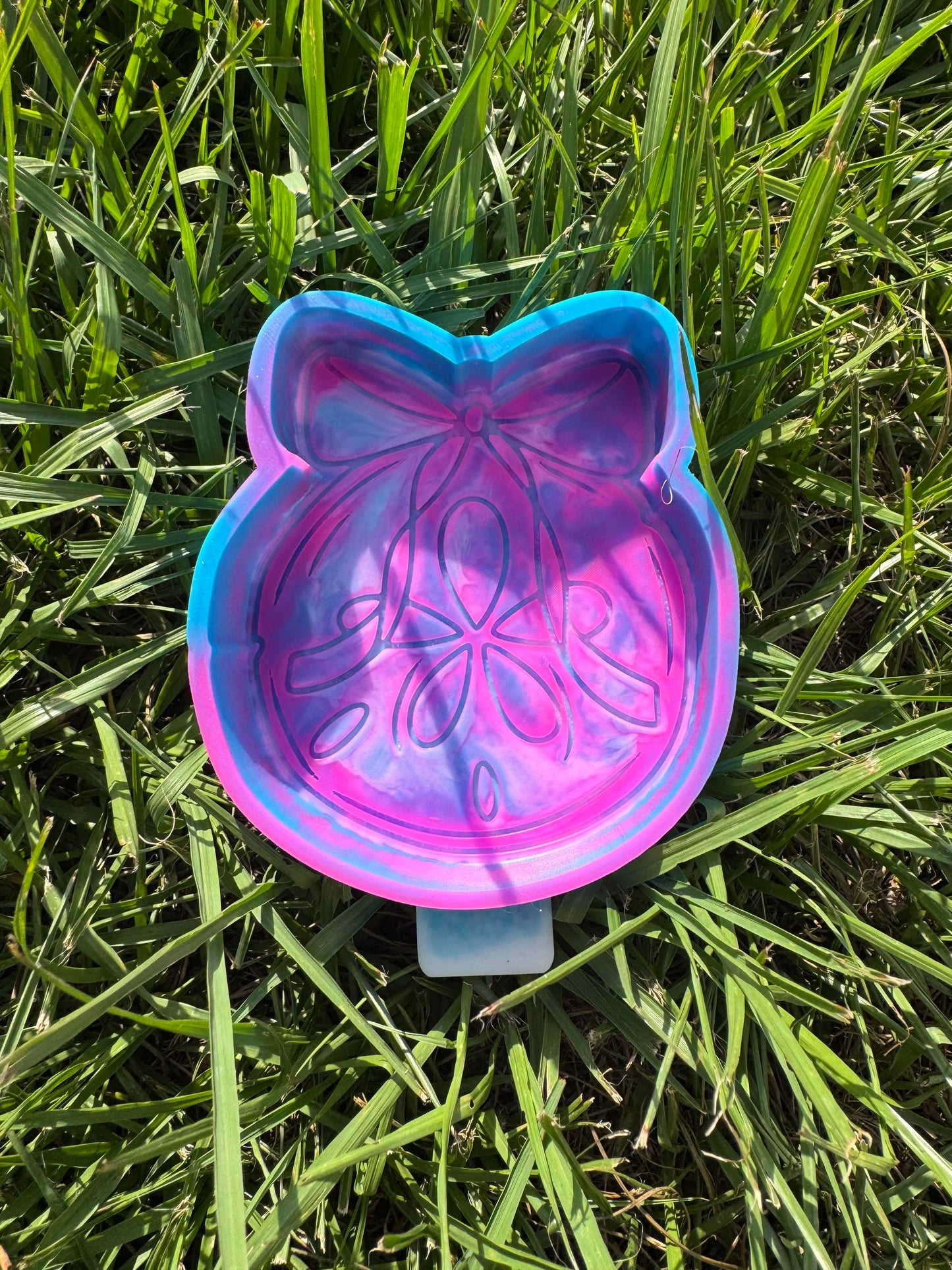 Sand Dollar with Bow