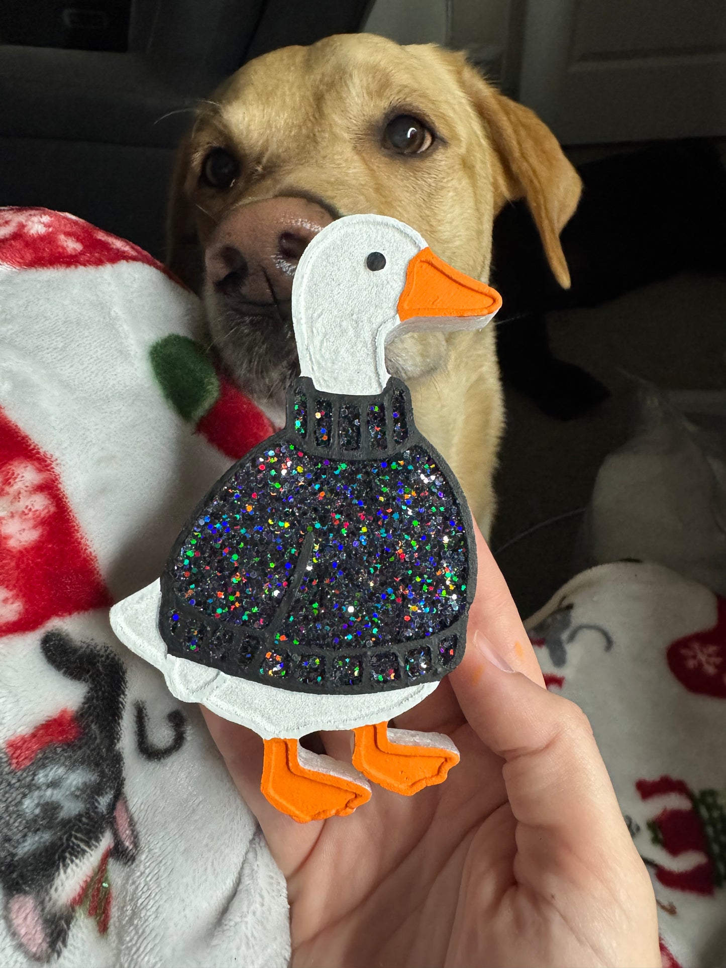Sweater goose